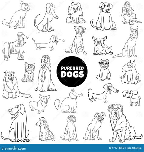 Cartoon Purebred Dogs Animal Characters Set 259377153