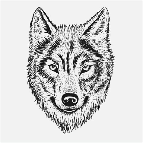 Wolf Face Vector Art Icons And Graphics For Free Download