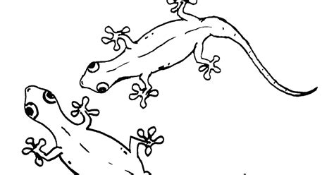 Maybe you would like to learn more about one of these? Mewarnai Gambar Cicak - Contoh Gambar Mewarnai