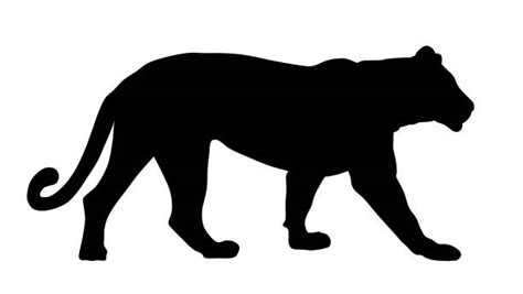460 Lioness Silhouette Stock Illustrations Royalty Free Vector