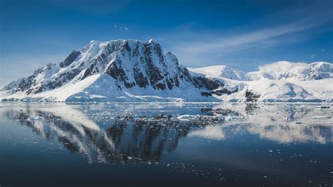 Fun and Fascinating Facts About Antarctica - TravellyClub