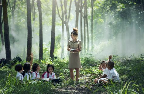 Free Images Forest Outdoor Book Read Light People Girl