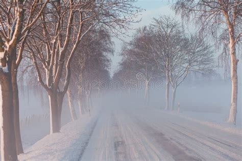 Snow Covered Road Through Foggy Avenue With Icy Trees Stock Photo