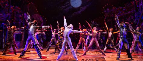 When he was first cast for the westchester broadway theater in 2002, i had to learn the whole show in six days with an associate choreographer, he said. Cats to Live-On in National Tour | Broadway Direct