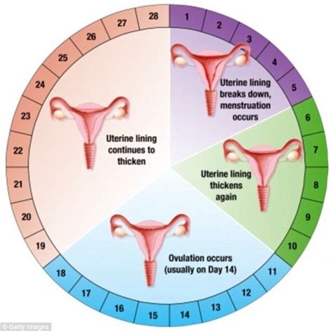 Changes in vaginal discharge are normal throughout the menstrual cycle. Is there a chance of getting pregnant 15 days from a ...