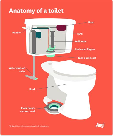 Guide To Parts Of A Toilet With Diagrams 51 Off