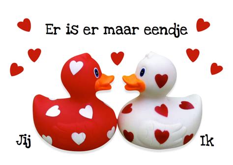 Hallo, ik ben valentijn avé, 16 jaar oud en (stem)acteur. Verras je Valentijn actie Externest - Vakantiehuis in de ...