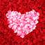 2000pcs 40Colors Silk Rose Petals Fabic Leaves Wedding Table Bed 