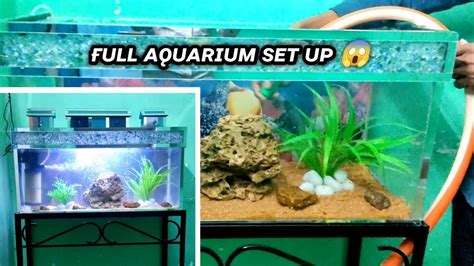 Full Aquarium Set Up Video 🧐 Fish Fishaquarium Viralvideo Youtube