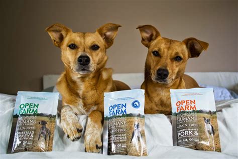 After a seamless transition and implementation, it took just a few months for the farmer's dog to see a 57% drop in average response time. ZoePhee: Open Farm "Ethically Raised & Sourced Dog Food"