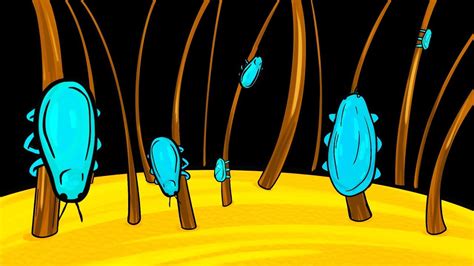 閲覧注意シラミの駆除は本当に難しい - YouTube