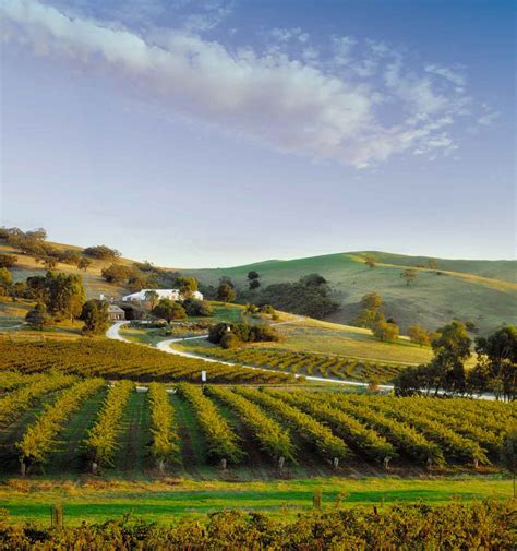 11 Wineries In Barossa Valley Wineries Detailed Itinerary To See