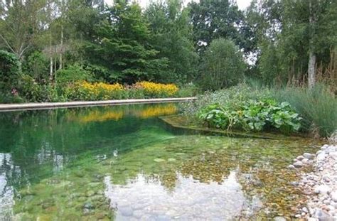 We did not find results for: How to Clean a Pond: Multiple Options to Remove Muck and ...