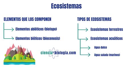 Ecosistemas ¿qué Son Y Qué Tipos Hay Ciencia Y Biología