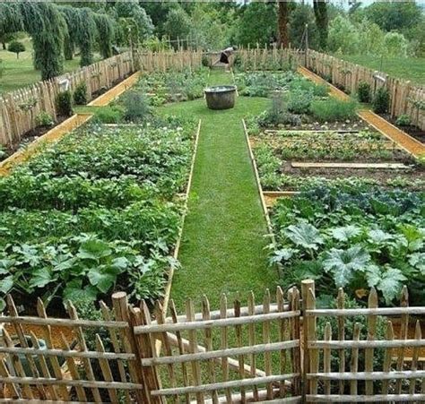 Designing A Large Vegetable Garden In 2023 Easy Backyard
