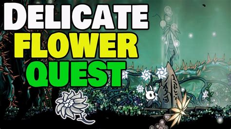 Hollow Knight Delicate Flower Quest Safe Path Youtube