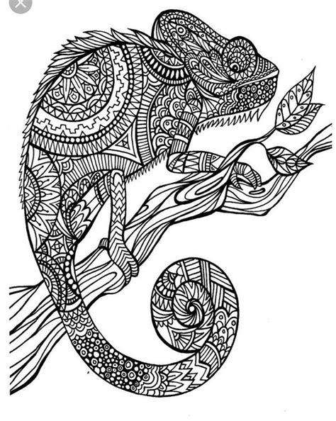 Pin on coloring