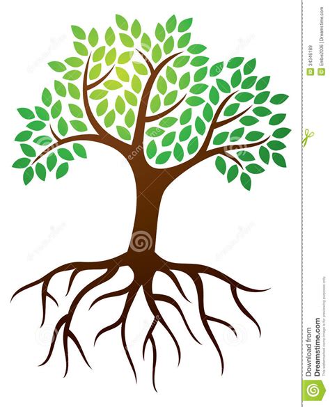 Cartoon Tree Drawing With Roots Tree With Roots On White Background