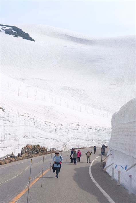 Tateyama Kurobe Alpine Route Amazing Snow Wall In Japan Strictly Ours