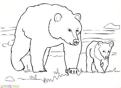 Contoh Sketsa Gambar Beruang Hitam Imagesee