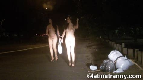 Street T Girls Prostitutes Working On Street Pornhub Com