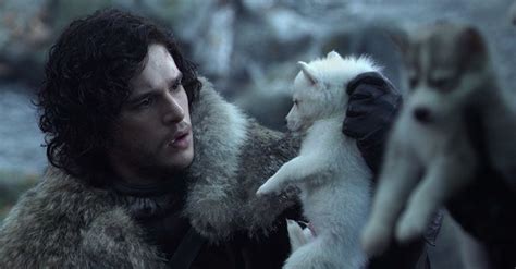 The Direwolves Are More Important Than You Think On 'Game Of Thrones ...