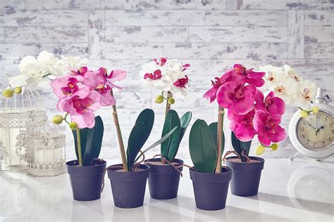 Select from a best range of indoor and outdoor artificial plants online and order now!! Artificial Orchid Flowers Plants in Pot Home Decor Garden ...