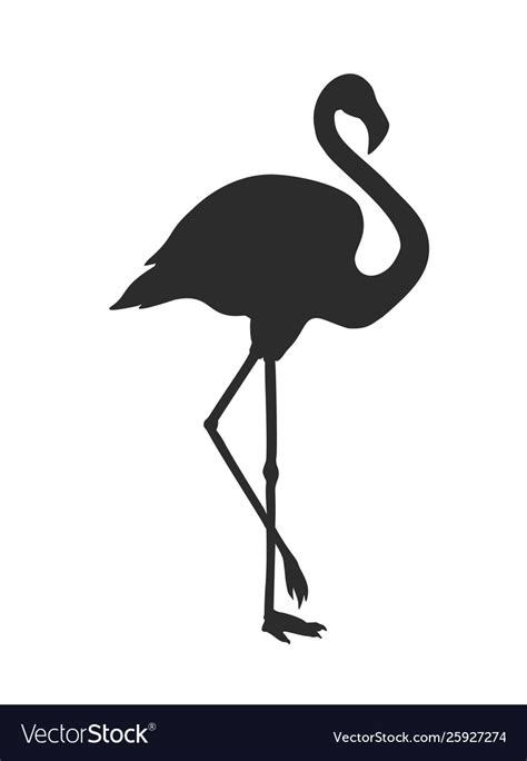 Silhouette Flamingo Isolated On White Royalty Free Vector