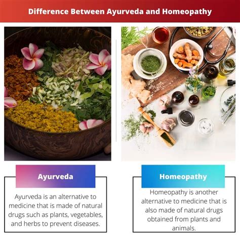 Ayurveda Vs Homeopathy Difference And Comparison