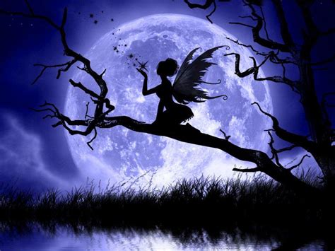 Evil Fairy Wallpapers Top Free Evil Fairy Backgrounds Wallpaperaccess