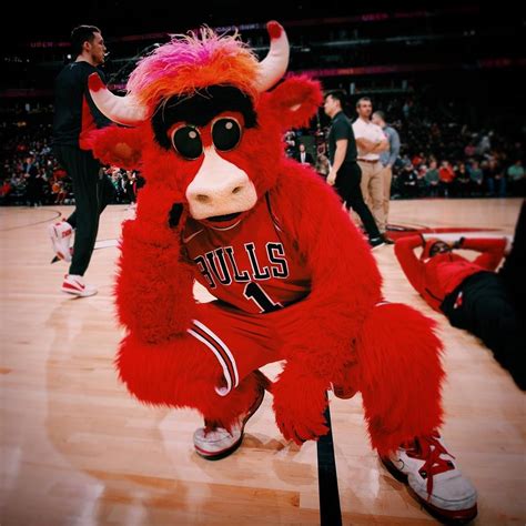 Just Over Here Waiting For Season To Start Bullsnation Who Else Is