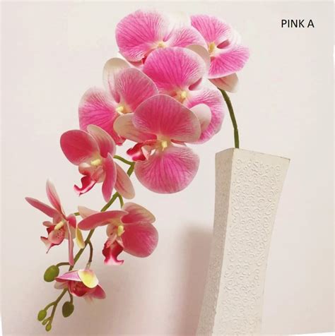 Terbaru 21 Gambar Bunga Anggrek Warna Pink Gambar Bunga Indah