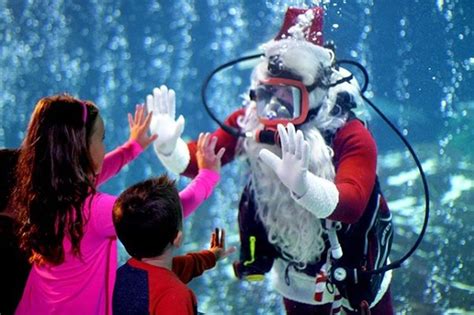 Celebrate Christmas Underwater At Adventure Aquarium In Camden Nj