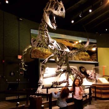 Exhibition halls and 20,000 unique annual visitors. Raymond M Alf Museum of Paleontology - 83 Photos & 35 ...