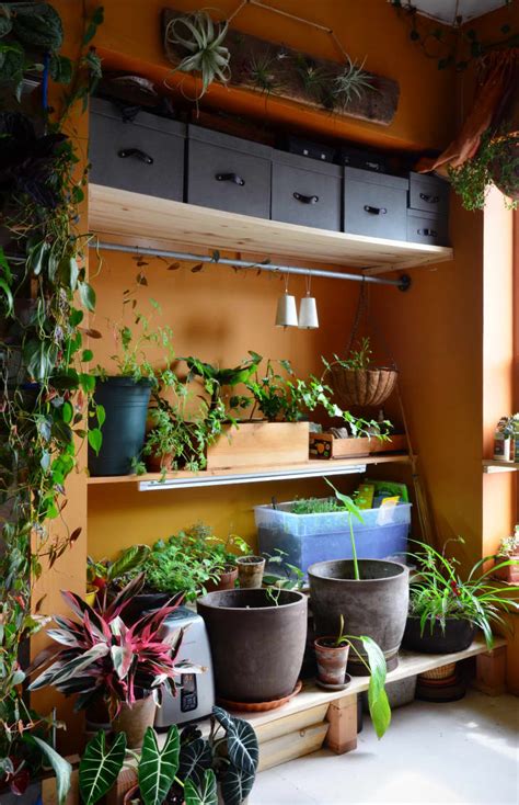 室内花园的想法 如何在家中制作花园 公寓疗法