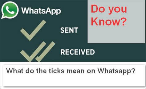 What Do The Ticks Mean On Whatsapp One Double Check Marks In Whatsapp