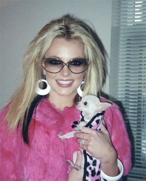 Britney Spears Chihuahua Blank Template Imgflip