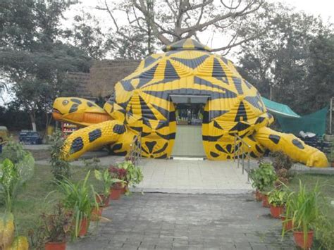 Tata Steel Zoological Park Jamshedpur 2019 What To Know Before You