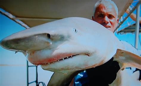 Professional Fisherman Jeremy Wade Holding His Super Rare Catch In