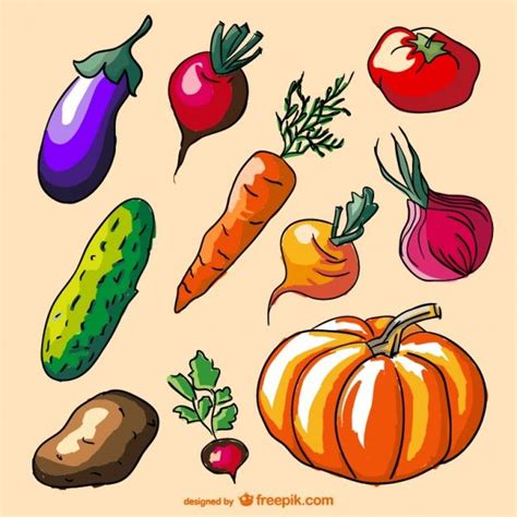 Colorful Doodle Vegetables Set Food Drawing Drawing For Kids Art For