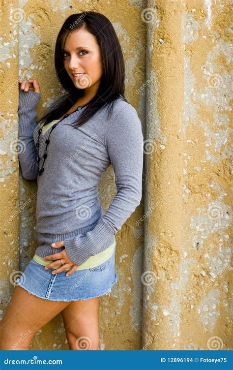 Sexy Brown Haired Girl Stock Images Image 12896194