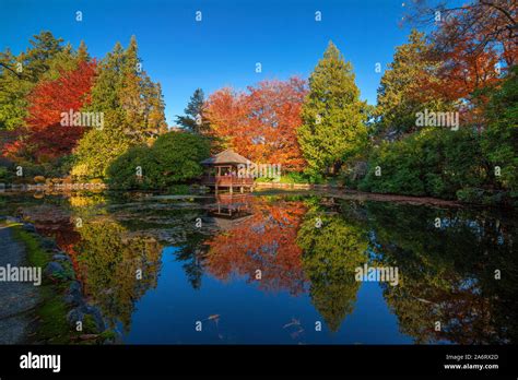 Gazebo In Japanese Garden At Hatley Castle Colwood British Columbia