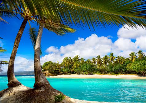 Vacation Beach Summer Tropical Sea Palms Paradise