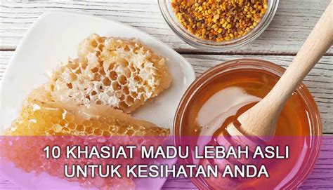 Nah, pada kali ini paluipuntik akan memberikan informasi mengenai khasiat madu lebah. 10 Khasiat Madu Lebah Asli Untuk Kesihatan