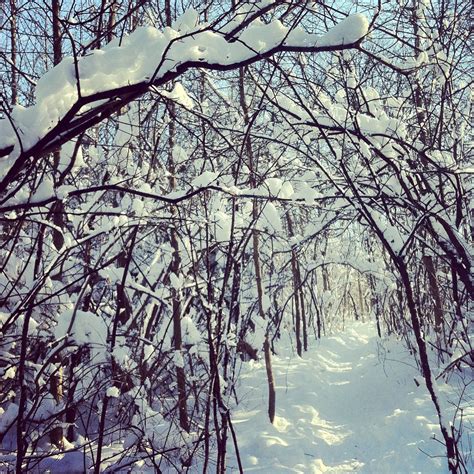 Winter Wonderland Ottawa On Natural Landmarks Favorite Places