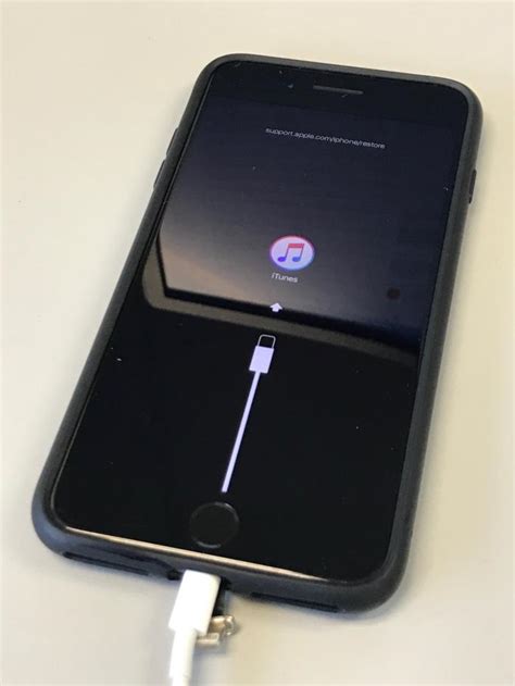 Nothing To C Here Apple Is Never Switching From Lightning To Usb C In