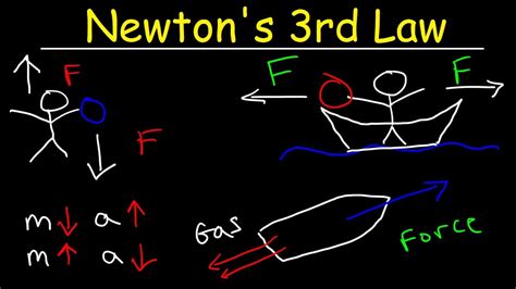 Example Of Newtons Third Law Of Motion OnlineFlex