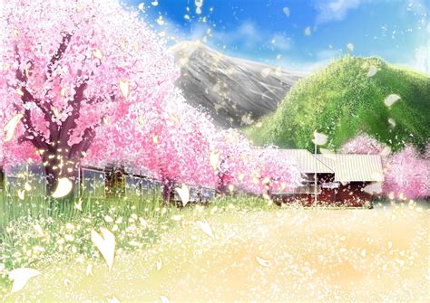 Amazing Anime Cherry Blossom Landscape Wallpapers Wallpaper Box