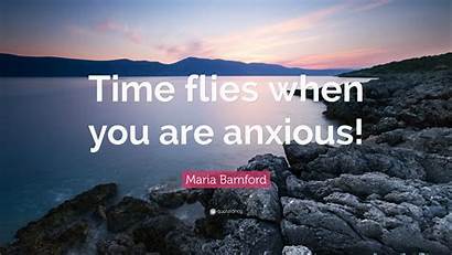 Flies Anxious Maria Bamford Quote Wallpapers Quotefancy