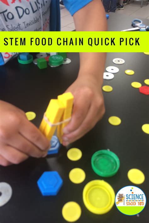 Food Chain Stemngss Science Quick Pick Stem Engineering Activities